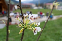 CHÍV UVÍTANIE DETÍ DO ŽIVOTA 2017