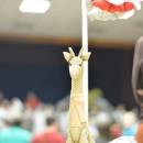 DSC_0235_resize