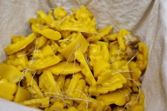 20221211_134737_resize