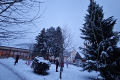 20221211_160149_resize