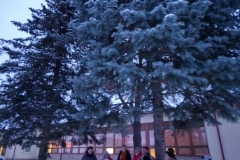 20221211_160425_resize