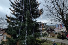 PXL_20251207_145138376.NIGHT_