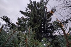 PXL_20251207_145157084.NIGHT_