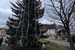 PXL_20251207_145210486.NIGHT_