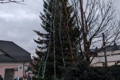 PXL_20251207_145228841.NIGHT_