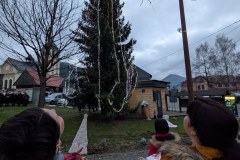 PXL_20251207_145254613.NIGHT_