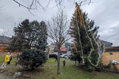 PXL_20251207_145306755.NIGHT_