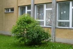 P1060148_resize