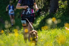 Zázrifské pobehaňä 2023,