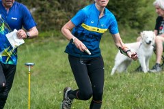IMG_8134