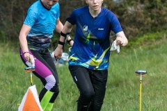 IMG_8152