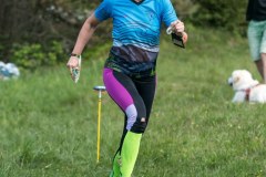 IMG_8153