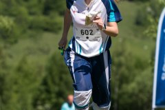 IMG_8491
