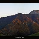 zazriva-1-dfde64a564fe46d3d7ca35a0b78edbb9648ae377