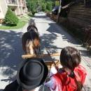 Zazrivske dni (64 of 142)