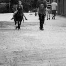 IMG_3708