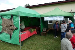 DSC00004_resize_resize