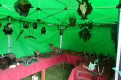 DSC00005_resize_resize