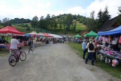 DSC00011_resize_resize