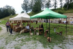 DSC00025_resize-2_resize