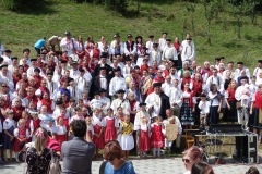 DSC00063_resize_resize