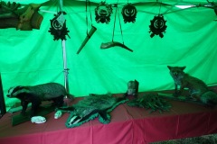 DSC00071_resize-2_resize