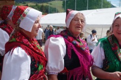 DSC00084_resize_resize