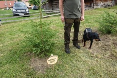 DSC00089_resize_resize