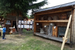 DSC00111_resize_resize