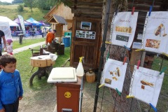 DSC00112_resize-2_resize