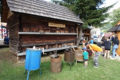 DSC00119_resize-2_resize