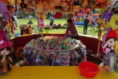 DSC00153_resize-2_resize