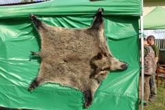 DSC00163_resize_resize