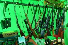 DSC00167_resize_resize