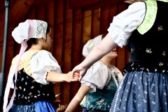 MAR_7733_resize