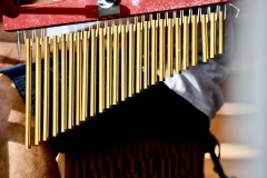 MAR_7815_resize
