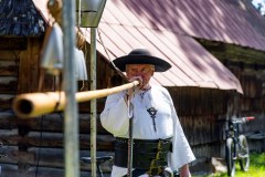 IMG_6954