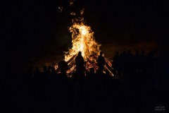 IMG_7312
