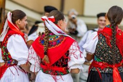 IMG_7557