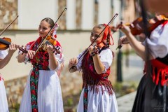 IMG_7631