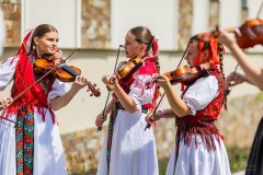 IMG_7637