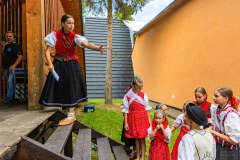 IMG_7827