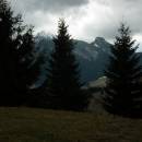 DSCF4266