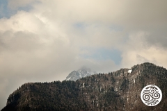 IMG_3257