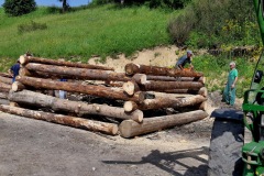 20190613_092925_resize